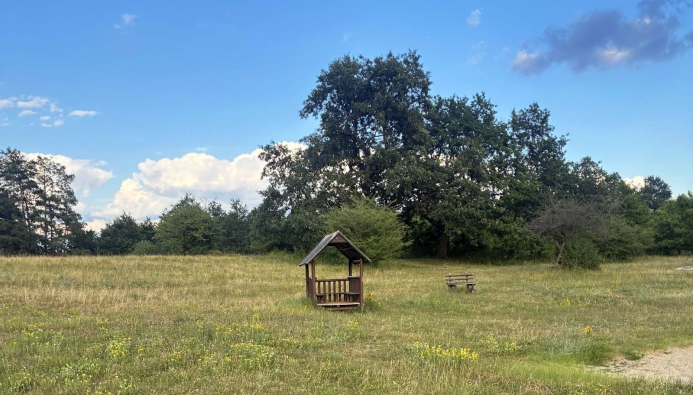 Börzsönyi wellness szálloda